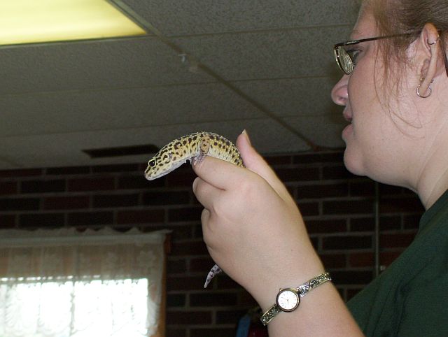 Akron Zoo 